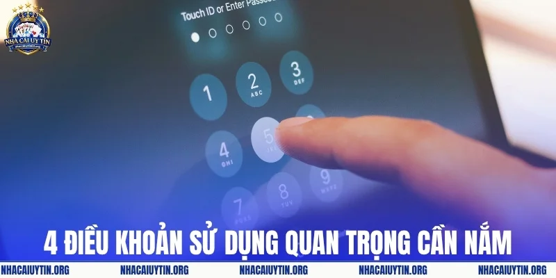 4 điều khoản sử dụng quan trọng cần lưu tâm