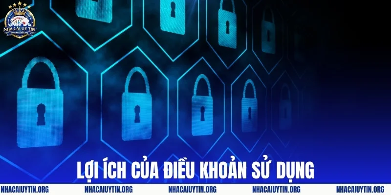 Lý do nhà cái uy tín có điều khoản sử dụng
