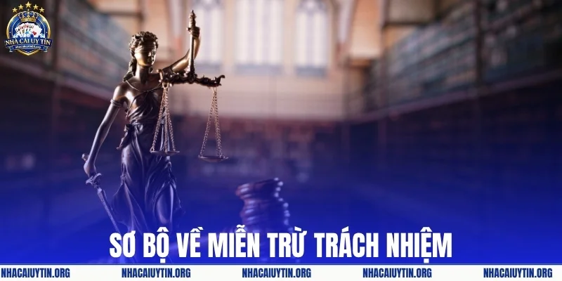 Sơ bộ về miễn trừ trách nhiệm